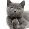 esmeraldafrd - @esmeraldafrd - TikTok