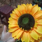 Esperanza Avalos - Facebook