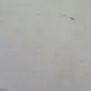 kerin - @esperanzabeker222 - TikTok