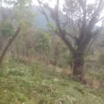 Esperanza Cadena - Facebook