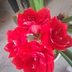 Esperanza Cadena - Facebook