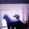 Esperanza Cadenas - @esperanza.cadenas - TikTok