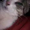 Esperanza Correa - @esperanzacorrea2 - TikTok