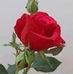 Esperanza Correa - Facebook