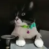 Esperanza Correa - @esperanzacorrea04 - TikTok