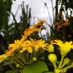 De León Esperanza - @esperanza_de_leon_ - Instagram