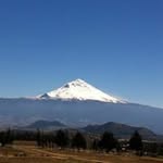 Esperanza Estrada Alegría - @estradaalegria - Instagram