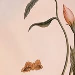 Estrada Esperanza - @esperanza.estrada.980 - Instagram