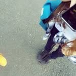 Esperanza - @esperanzahallimaninsta8 - Instagram