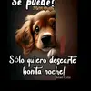 esperanza leon - @biancayajairamata - TikTok