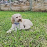 Esperanza Leon - @esperanzaleon2021234 - Instagram