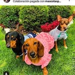 Esperanza Macías cruz - @esperanzamaciasc - Instagram