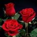 Esperanza Mitchell - Facebook