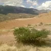 Esperanza Rojas - @esperanza.rojas715 - TikTok