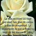 Esperanza Simon - Facebook