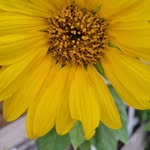 Esperanza Solorio - @esperanza.solorio.52 - Instagram