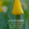 TENORIO ♥️VIRGO♥️ - @esperanza.tenorio - TikTok