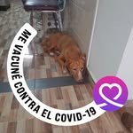 Esperanza Tobar - @esperanza.tobar.967 - Instagram