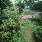 @esperanza_wade992 - Instagram