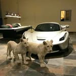 Essam ammar - @essam.ammar20 - Instagram