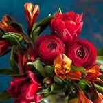 Essam Ammar - @essam.ammar.927 - Instagram