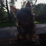 Essence - @essence_gray - Instagram