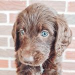ESSIE CHARLES - @essiecharles_ - Instagram