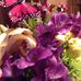 Essie Clark - Facebook