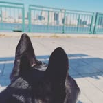 J.B. - @jessie_mcgee - Instagram
