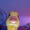 gessie Meyer - @gessiemeyer1 - TikTok
