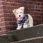 Essie Wilson - @essiewilson56 - Instagram