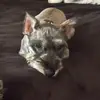 essiewilson - @essiedadog - TikTok