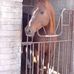 Esteban Barrientos - Facebook