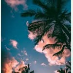 esteban - @este.banbrown - Instagram