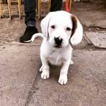 Esteban Huerta - @estebanhuertaar94 - Instagram