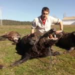 Esteban merchan  merchan - @merchan543 - Instagram