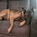 Esteban Robles - Facebook
