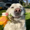 Esteban Rubio - @esteban.rubio419 - TikTok