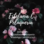 Estefania Chavez - @estefaniac.peluqueria - Instagram