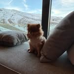 Estefania Luna - @estefania_luna - Instagram