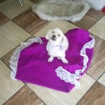 Estela Botello - @estela.botello.397 - Instagram
