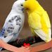 Estela Camacho - Facebook