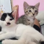 Estela Jones - @estela_chiari - Instagram