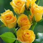 Estela Jones - Facebook