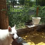 Estela Jones - Facebook