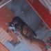 Estela Mata - Facebook