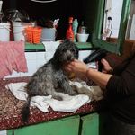 Estela Ochoa - @estela.ochoa.9480 - Instagram