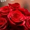 Estelá Olmos - @estel.olmos - TikTok