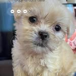 Mum - preneur - @estela.roa.96 - Instagram