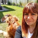 Estela Solis - @estelasolis2009 - Instagram